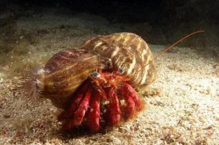  Emocionantes reuniones 